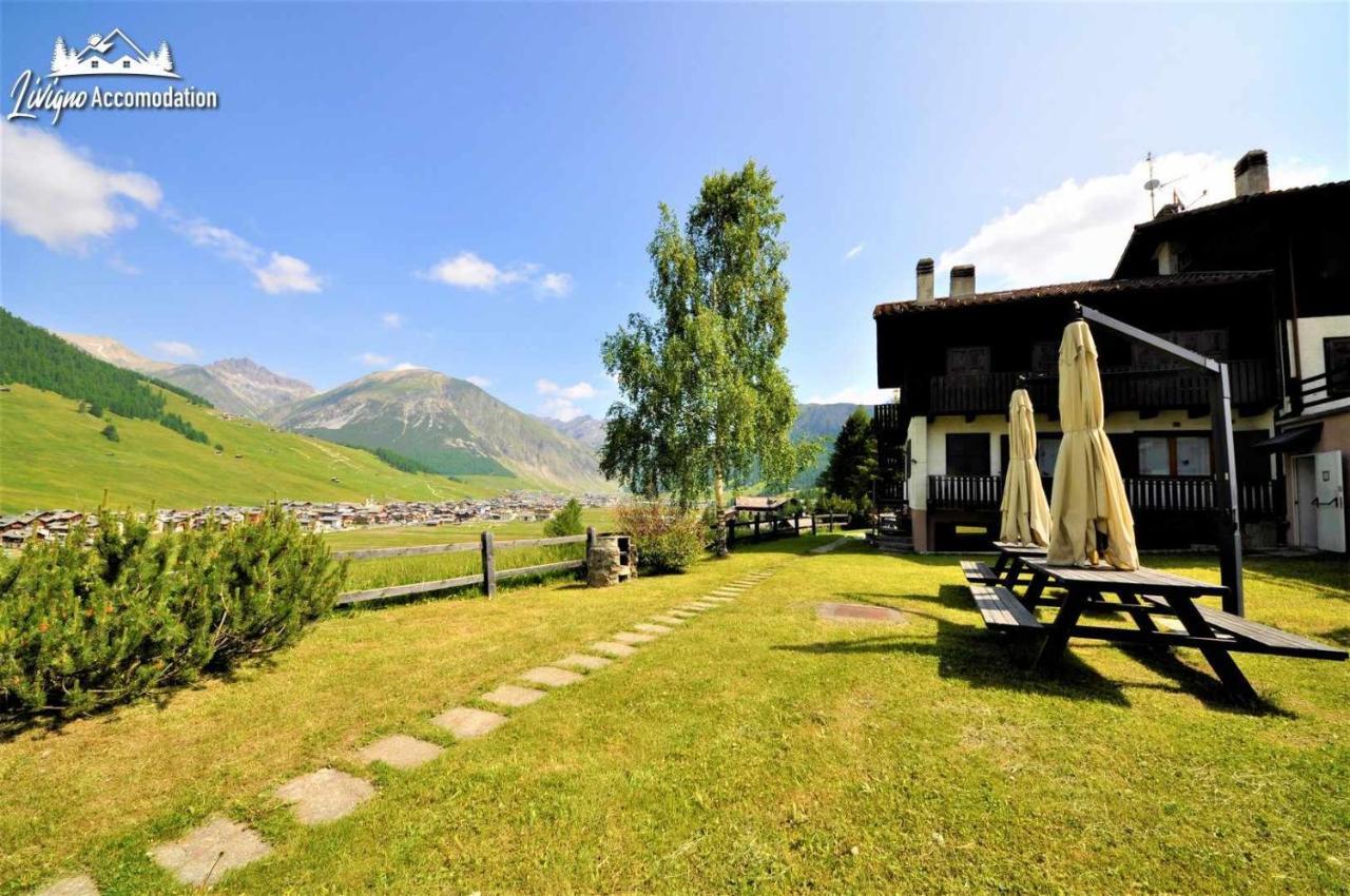 Chalet Rododendro Forest By Livigno Accomodation 외부 사진