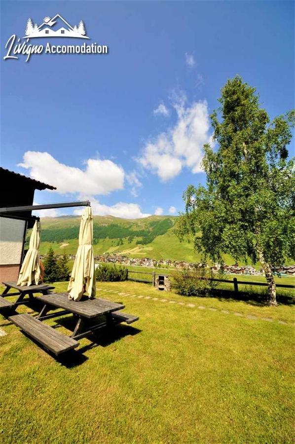 Chalet Rododendro Forest By Livigno Accomodation 외부 사진
