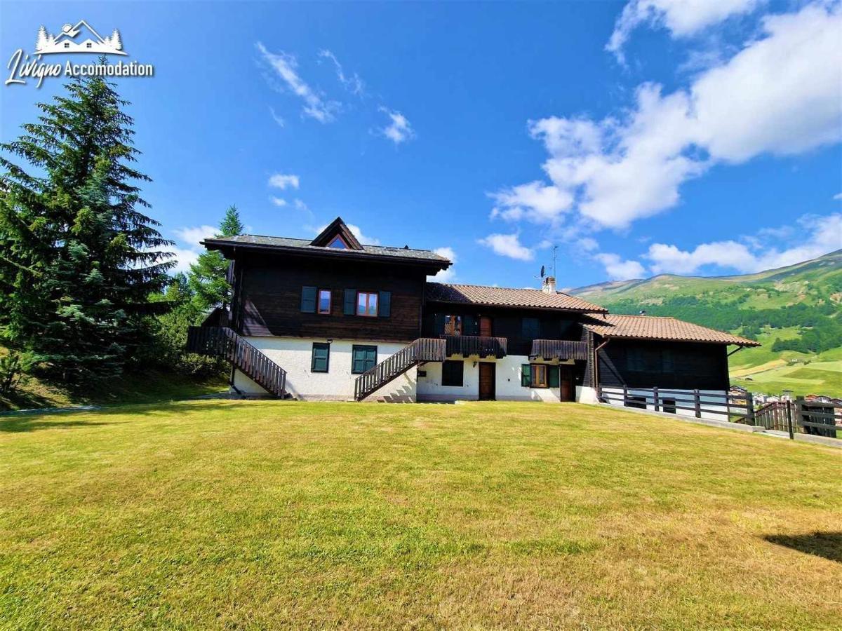 Chalet Rododendro Forest By Livigno Accomodation 외부 사진