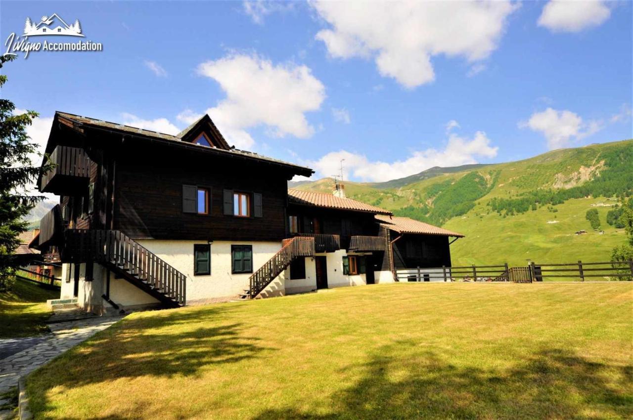 Chalet Rododendro Forest By Livigno Accomodation 외부 사진