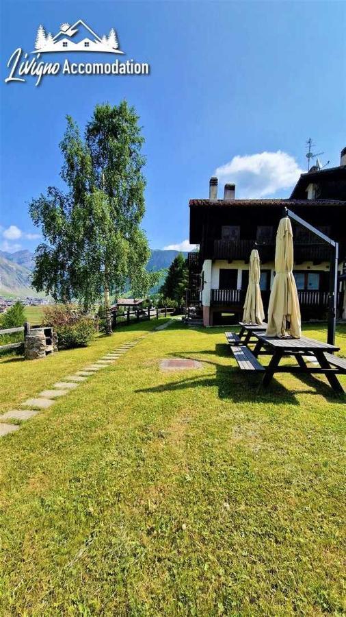 Chalet Rododendro Forest By Livigno Accomodation 외부 사진