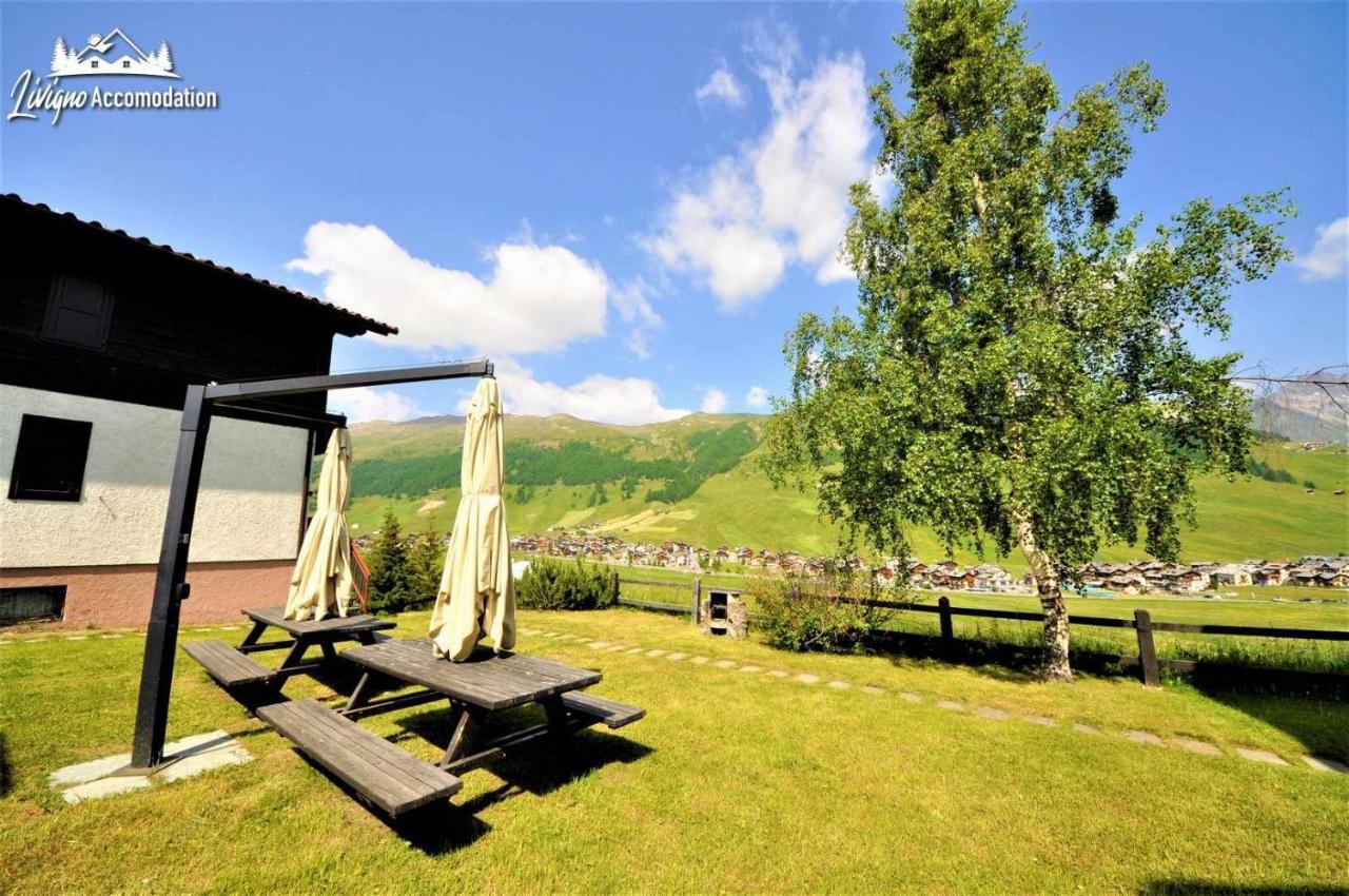 Chalet Rododendro Forest By Livigno Accomodation 외부 사진