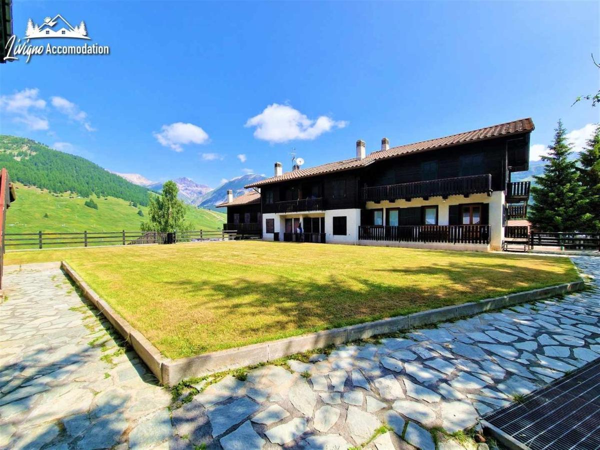 Chalet Rododendro Forest By Livigno Accomodation 외부 사진
