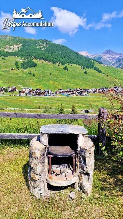 Chalet Rododendro Forest By Livigno Accomodation 외부 사진