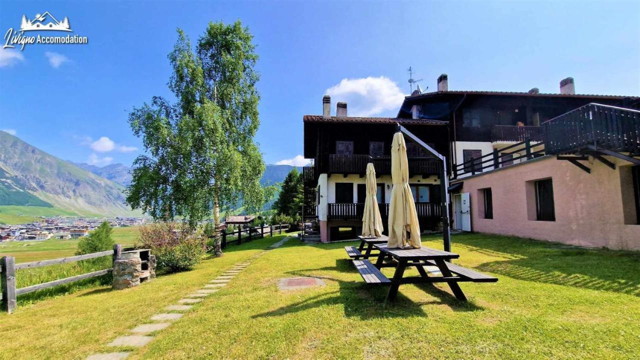 Chalet Rododendro Forest By Livigno Accomodation 외부 사진